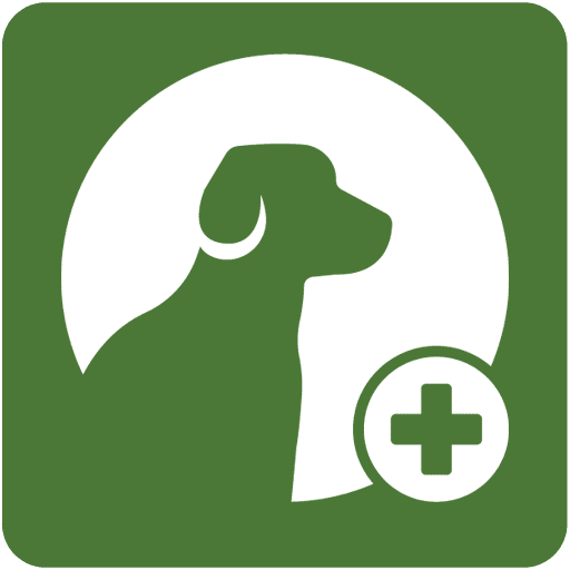 light green box with a dog in it