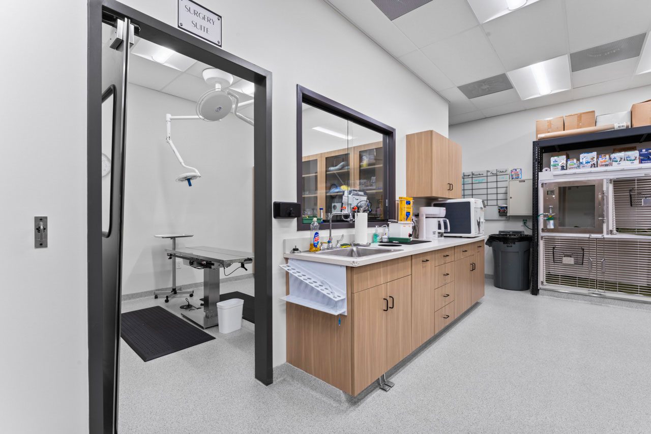 doorway to veterinary surgical suite