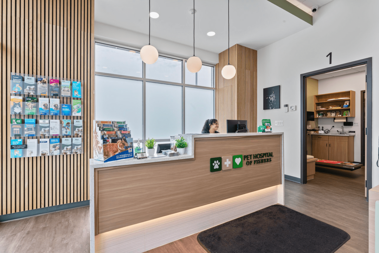 female receptionist sitting at front desk at pet hospital of fishers